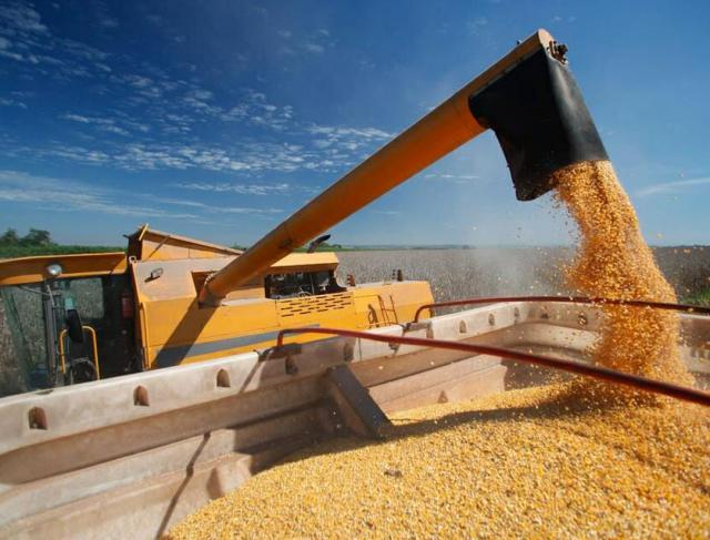 Exportações de soja do Brasil devem crescer 21% em julho em 